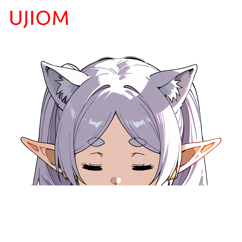 UJIOM Kawaii Frieren Catgirl W - огляд і ціна Frieren Anime Merchandise